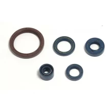 OIL SEAL SET , ENGINE - TC250 2006-2008 4T
