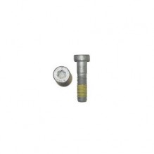AH-COLLAR SCREW M10X35 ISA45